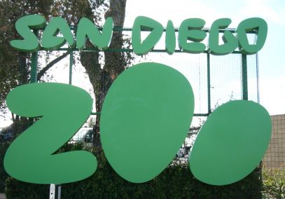 Những điều Thú Vị Về Sở Thú San Diego