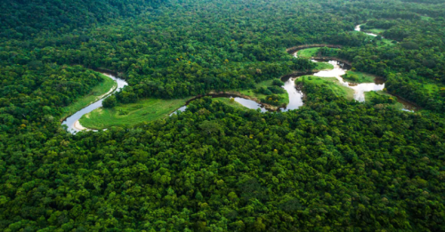 Nam Mỹ & Vùng Rừng Rậm Amazon Bí ẩn, Cổ Kính