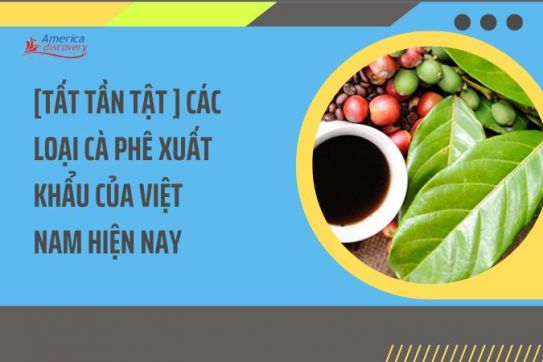 #126 - [Tất Tần Tật ] Các Loại Cà Phê Xuất Khẩu Của Việt Nam Hiện Nay