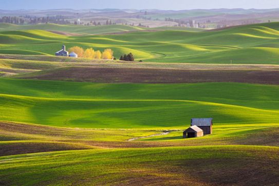 Khám phá 10 trang trại lý tưởng nhất tại Mỹ.