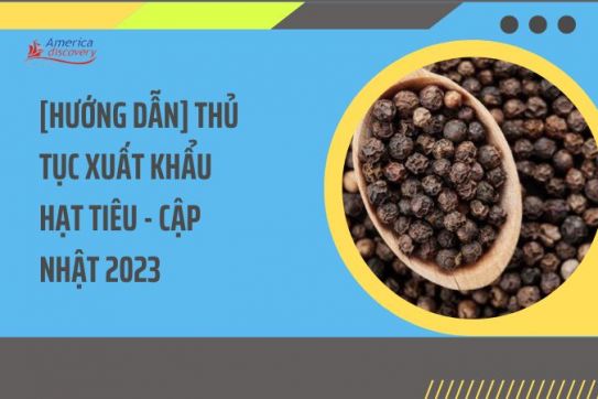 #119 - [Hướng Dẫn] Thủ Tục Xuất Khẩu Hạt Tiêu - Cập Nhật 2023