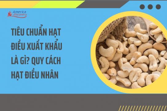 #117 - Tiêu Chuẩn Hạt Điều Xuất Khẩu Là Gì? Quy Cách Hạt Điều Nhân