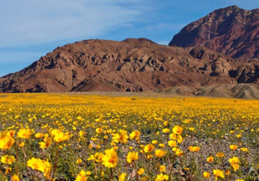 Khám Phá Vẻ Đẹp Bí Ẩn Của Thung Lũng Chết Tại Mỹ