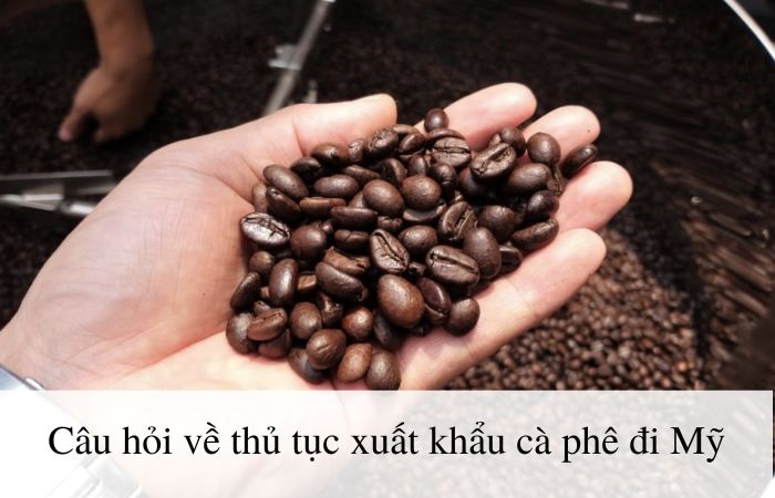 Thắc mắc trong quá trình thực hiện thủ tục xuất khẩu cà phê