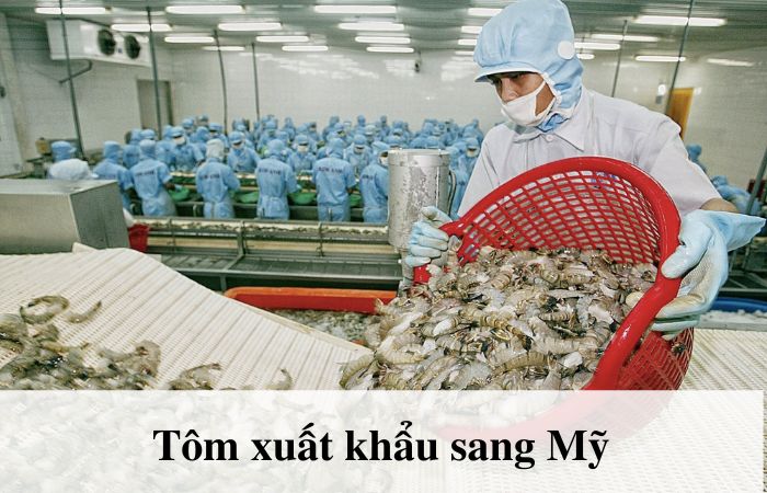 Tôm là mặt hàng mũi nhọn trong xuất khẩu thủy sản